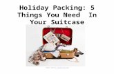 Holiday packing : 5 things you need in your suitcase!