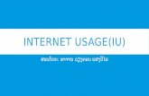 Internet usage(iu)