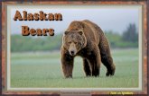 Alaskan Bears - animated widescreen