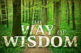 Lesson 2: The Way To Wisdom