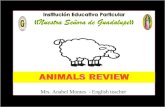 Animals   review
