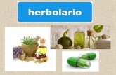 Herbolario fats