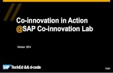 Co-innovation in Action - 2014 SAP Co-innovation Lab Project Highlights