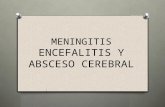 Meningitis y absceso cerebral