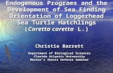 Endogenous Programs Presentation_CBarrett