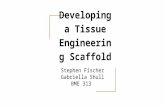 Case study 2  - Tissue Engineering Scaffold