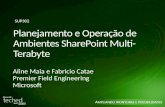 TechEd 2009: Planejamento e Operação de Ambientes SharePoint Multi-Terabyte