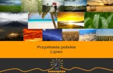 Przysłowia polskie - Lipiec