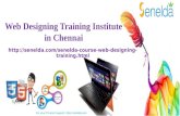 Web Designing Training Institute in Chennai - Senelda