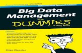 Big Data Management For Dummies Informatica