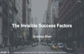The Invisible Success Factors