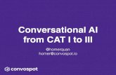 Conversational AI  from CAT I to III