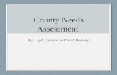 County Needs Assessment 2016