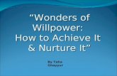 Wonders of Willpower