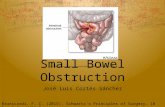 Small bowel obstruction and Intestinal Fistulas