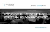 Focus on the Essentials for Team Self-Improvement