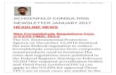 Newsletter january 2017  schoenfeld consulting