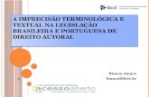 A imprecisão terminológica e textual na legislação brasileira e portuguesa de direito autoral.