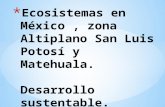 ecosotemas Mèxico San Luis Potosi y zona altiplano