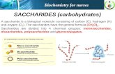 Saccharides (carbohydrates)