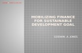 Mobilizing finance for sustainable development goal