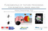 FUNDAMENTALS OF TEXTURE PROCESSING FOR BIOMEDICAL IMAGE ANALYSIS