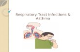 Common cold hasnain ppt