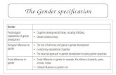 Gender: Social influences on gender role A2
