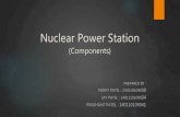 Nuclear power station(Components)