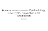 Malaria(Plasmodium falciparum)- Epidemiology, Life Cycle, Prevention and Eradication