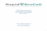2016029 bio cell explicacion cientifica RAPIDBIOCELL