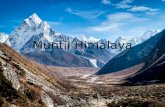 Muntii Himalaya