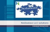 NetZealous LLC Solutions for All Industries