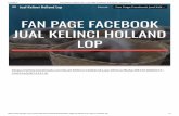 URL Fan Page Facebook Jual Kelinci Holland Lop 081910500571