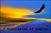 7 Principles Of Eagle 1