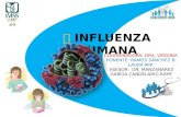 Influenza 2016  Laura Ramos