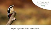 Eight tips for bird watchers