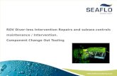 SeaFlo Consultancy Asset Integrity