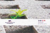 Dangote cement annual report 2010