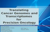 Translating Cancer Genomes and Transcriptomes for Precision Oncology