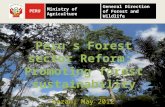 Forest Sector Reform Peru