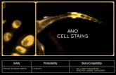 Ano cell stains  azooka-dyes