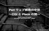 Perl ウェブ開発の中世〜CGI と Plack の間〜