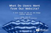 What Do Users Want from Our Website?