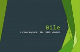 Bile: a review of the biliary system