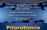 Pilorotomia tecnica quirurgica