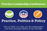 APA Practice Leadership Conference MSO Presentation