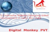 E commerce-web-designing-in delhi,ncr-6-march-2017