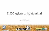 8 820 kg kauraa hehtaarilta, Riku Olli viljelijä