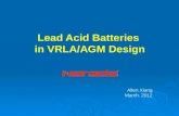 Basic principle of VRLA Battery